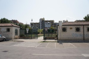 SONY DSC