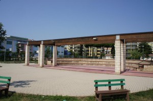 SONY DSC